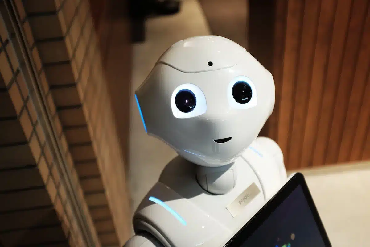 Les atouts des robots culinaires polyvalents face aux mixeurs classiques