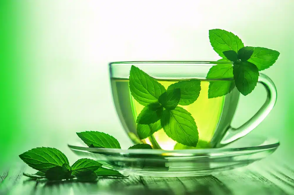 Quels sont les bienfaits du thé vert à la menthe ?