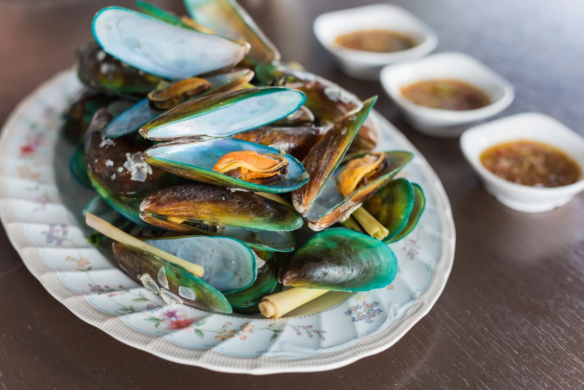 Quels sont les avantages des moules vertes ?