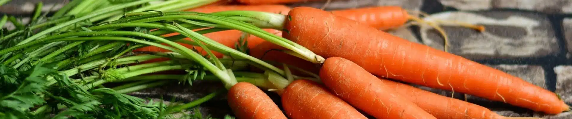Comment réussir la conservation des carottes ?