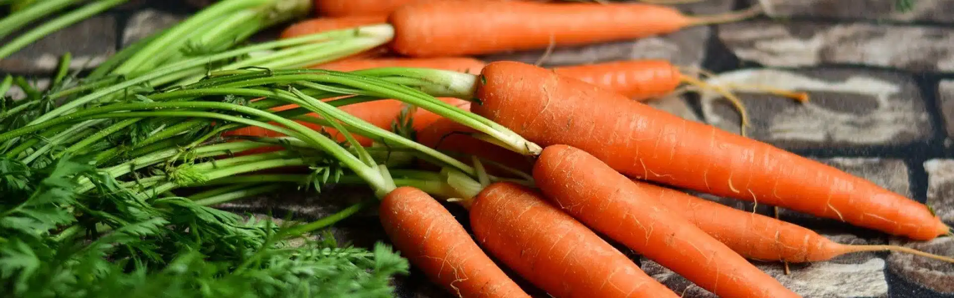 Comment réussir la conservation des carottes ?