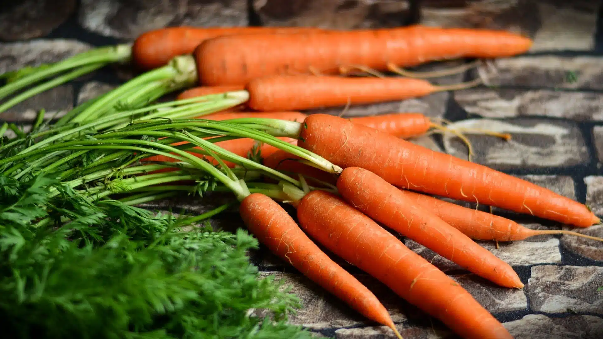 Comment réussir la conservation des carottes ?