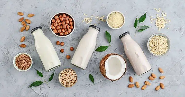 Quel est le meilleur lait pour la santé ?